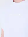 2512015_W4.webp