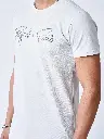 1910076-1_LS5.webp