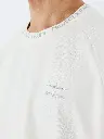 70847.webp